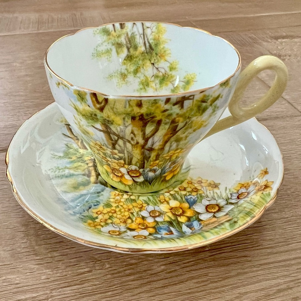 Vintage Shelley "Daffodil Time"‎ #13370 Fine Bone China Teacup Cup & Saucer Set